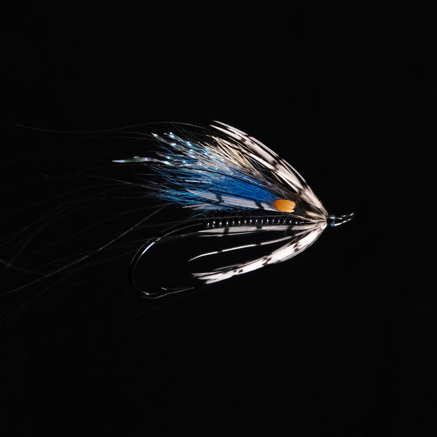 Picasse Blue