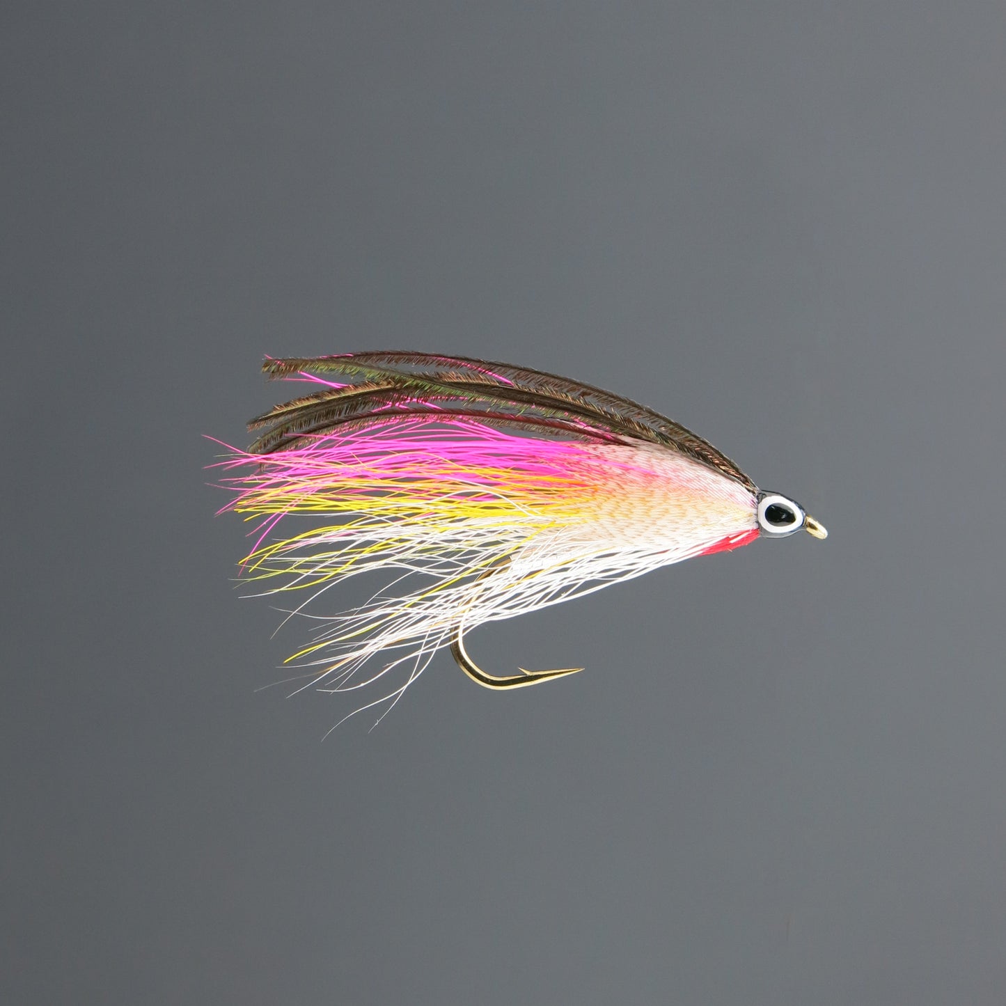 Rainbow Smelt