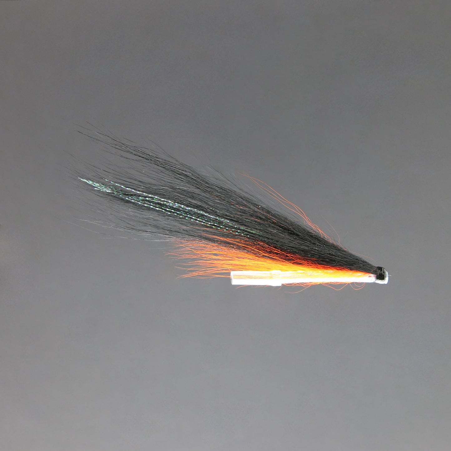 Sun Ray Shadow with Orange Underwing