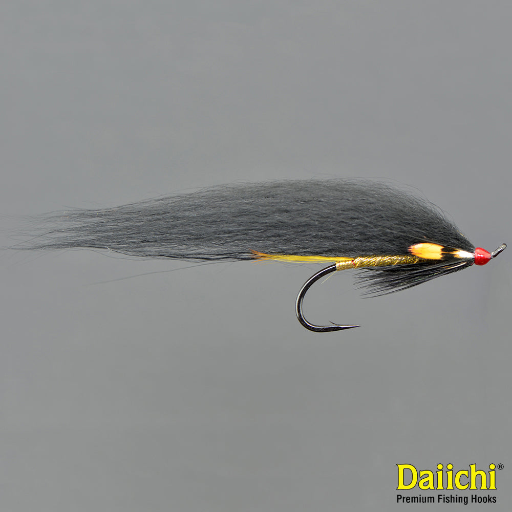 John Olin – Longwing TD