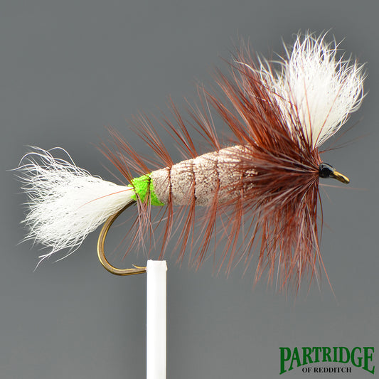 Gray Wulff – White Tail – Brown Hackle and Green Butt
