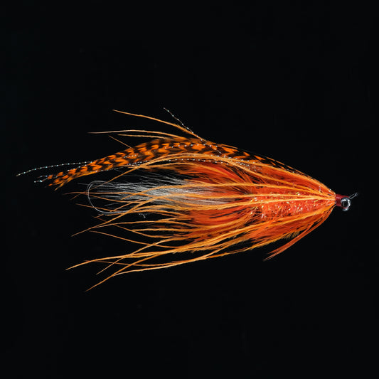 I2 Intruder – Shrimp/Orange