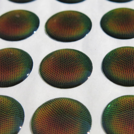 Apis – Yeux Autocollants