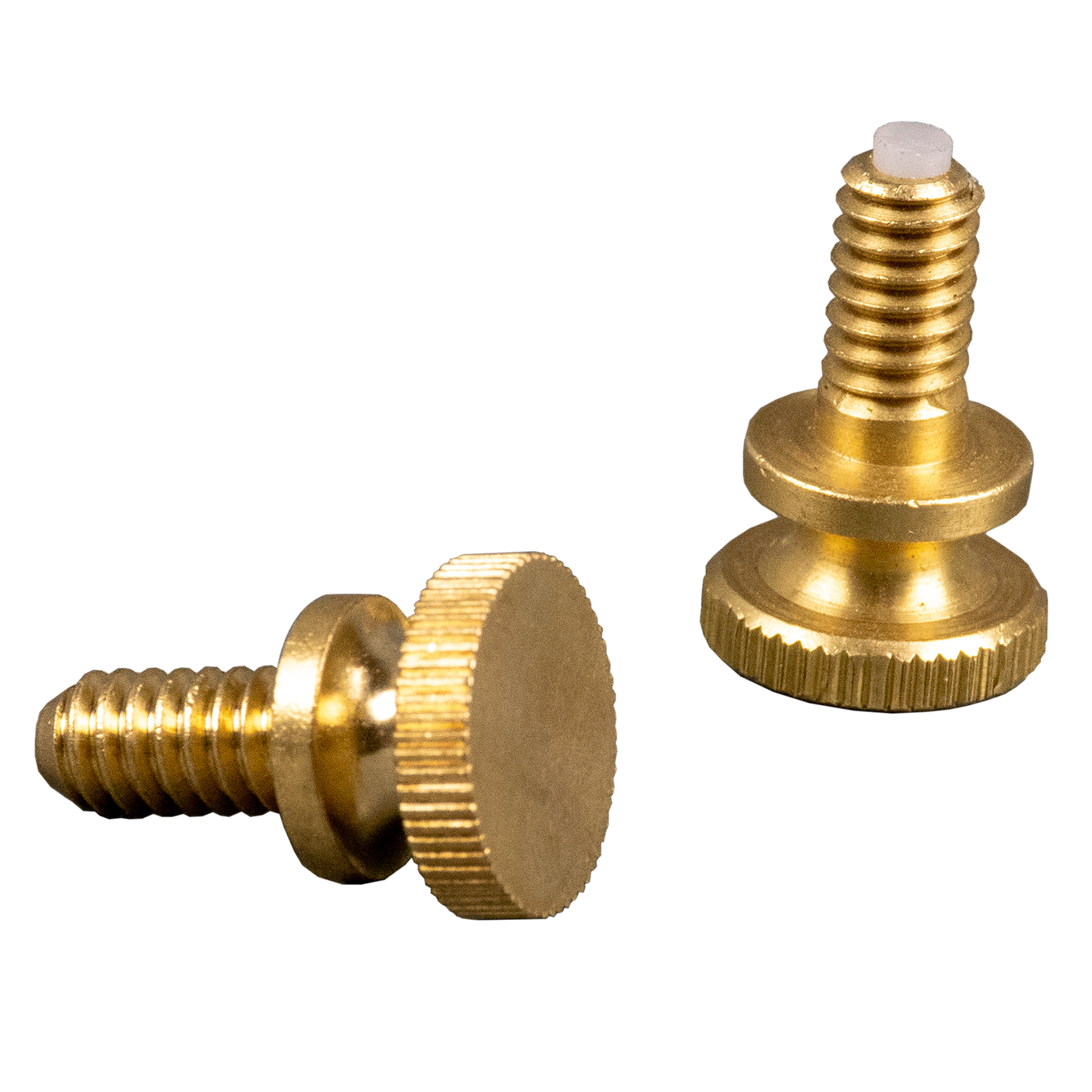 Brass Screws (2-Pack)