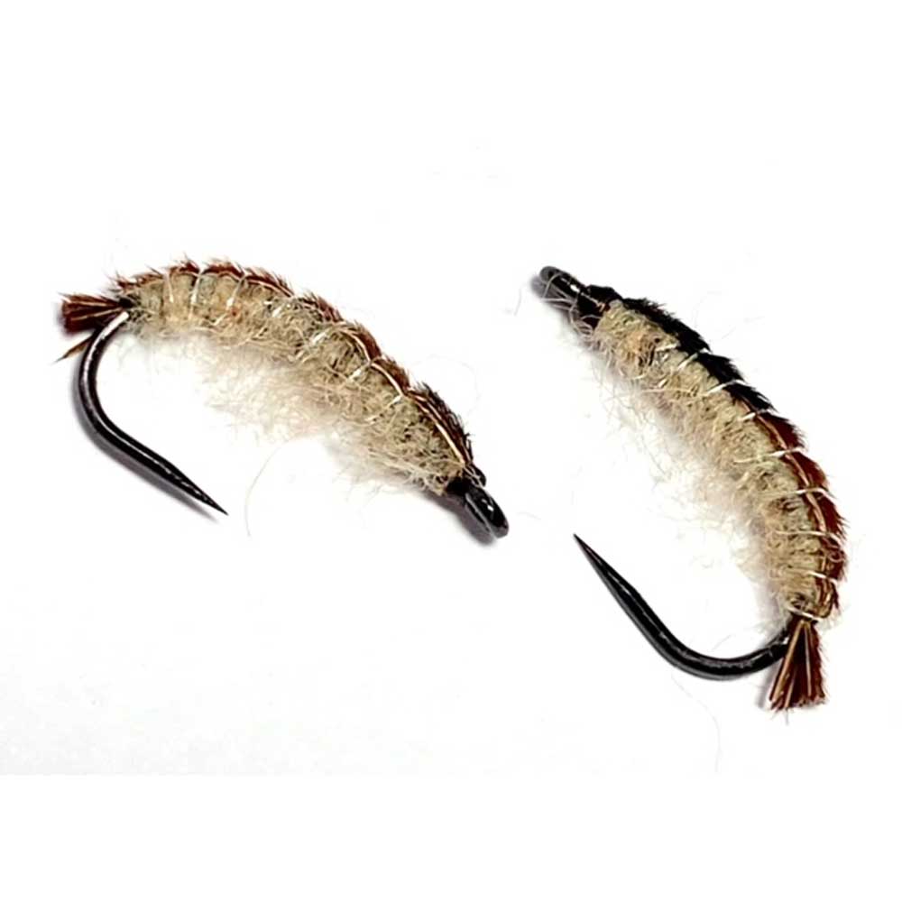 16PK Cinnamon Caddis