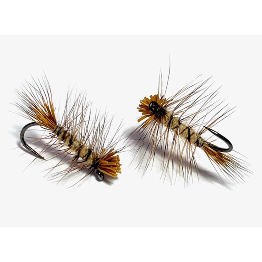 16PK Cinnamon Caddis