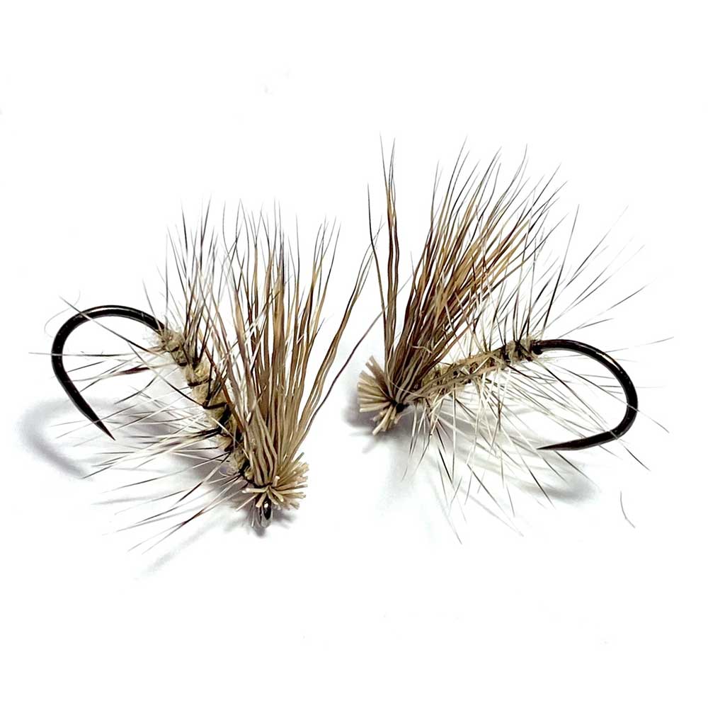 16PK Cinnamon Caddis