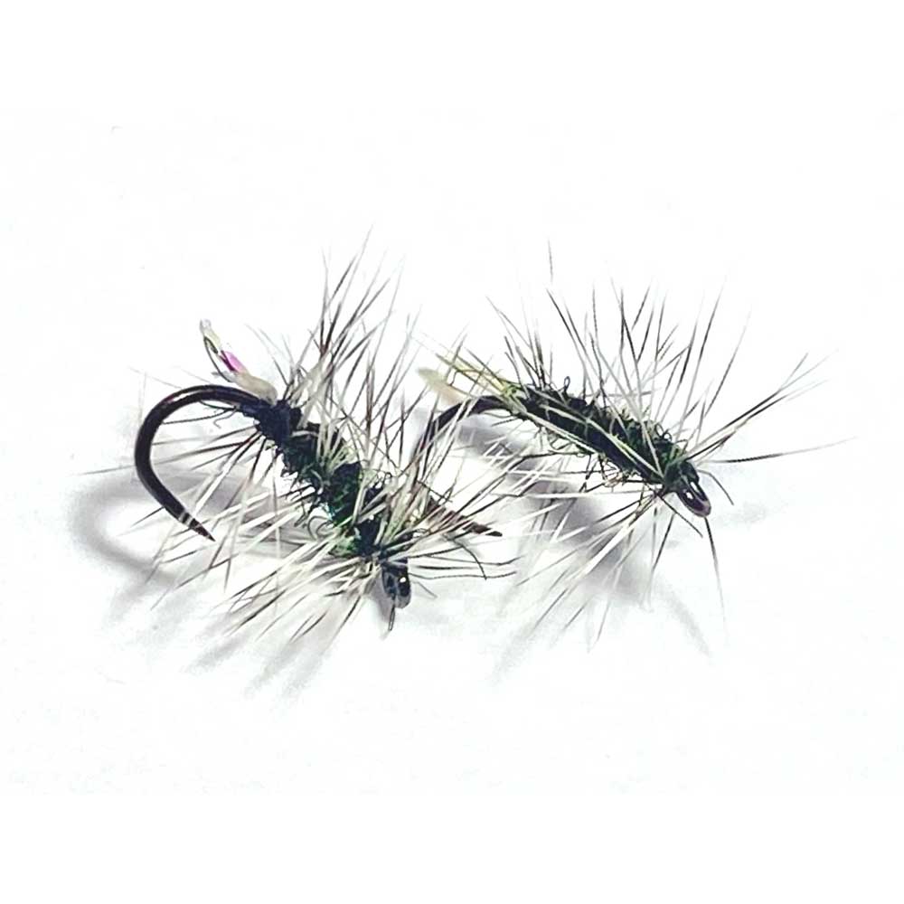 16PK Midge Sèches