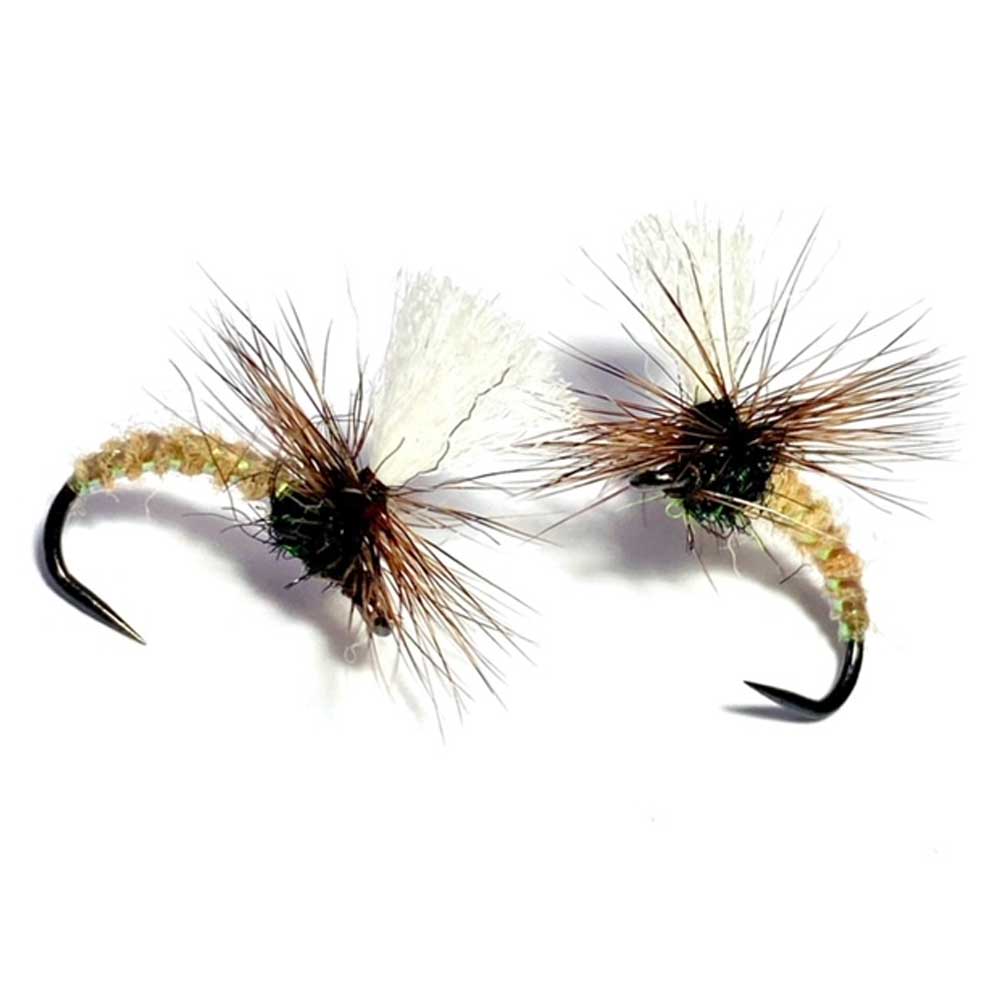 16PK Cinnamon Caddis