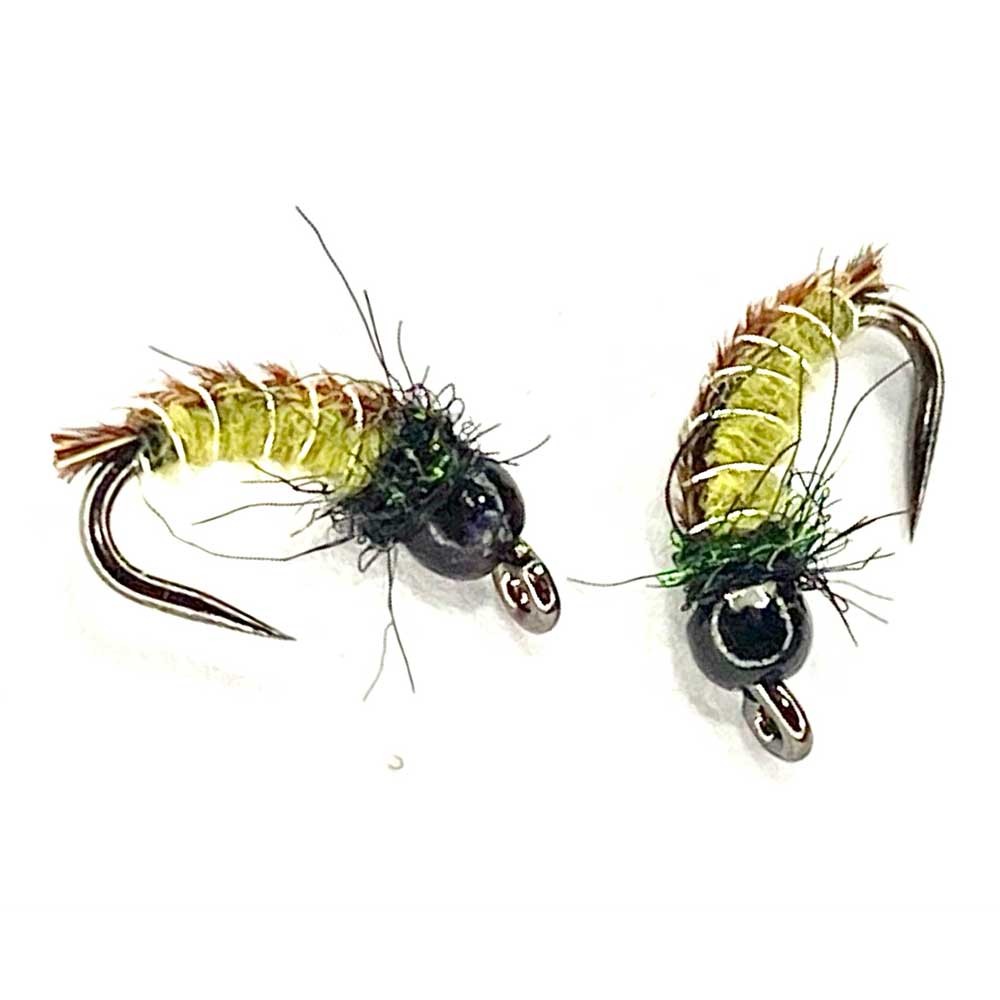 16PK Caddis Printanières