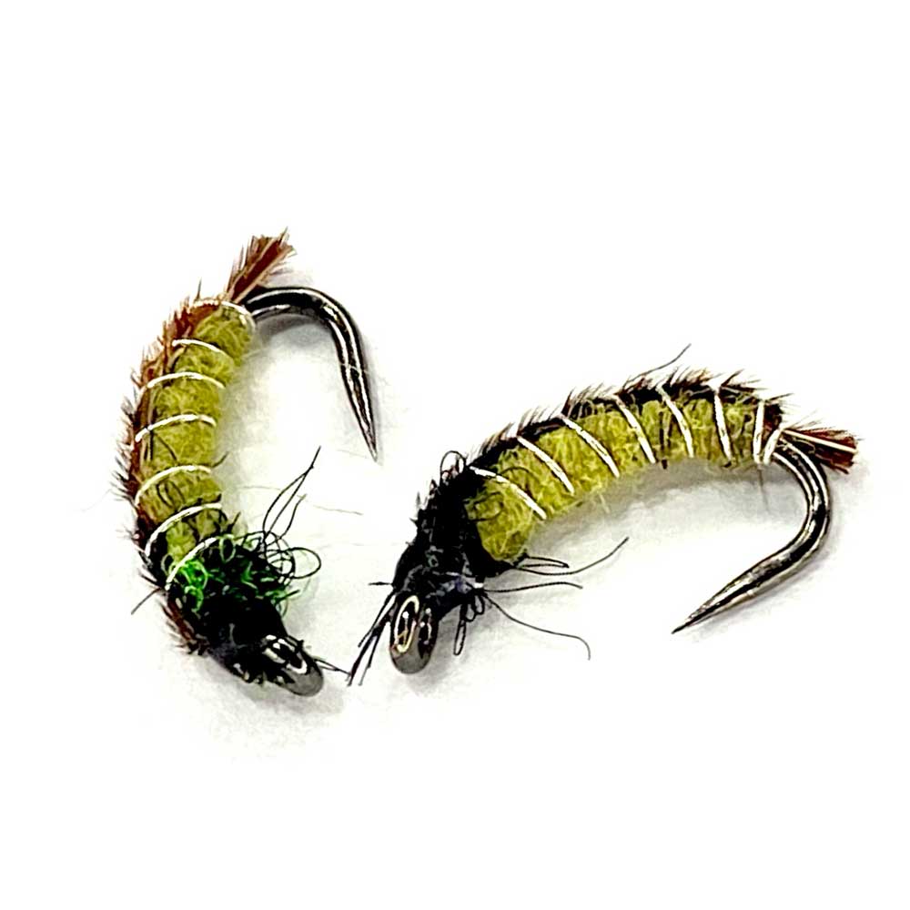 16PK Caddis Printanières