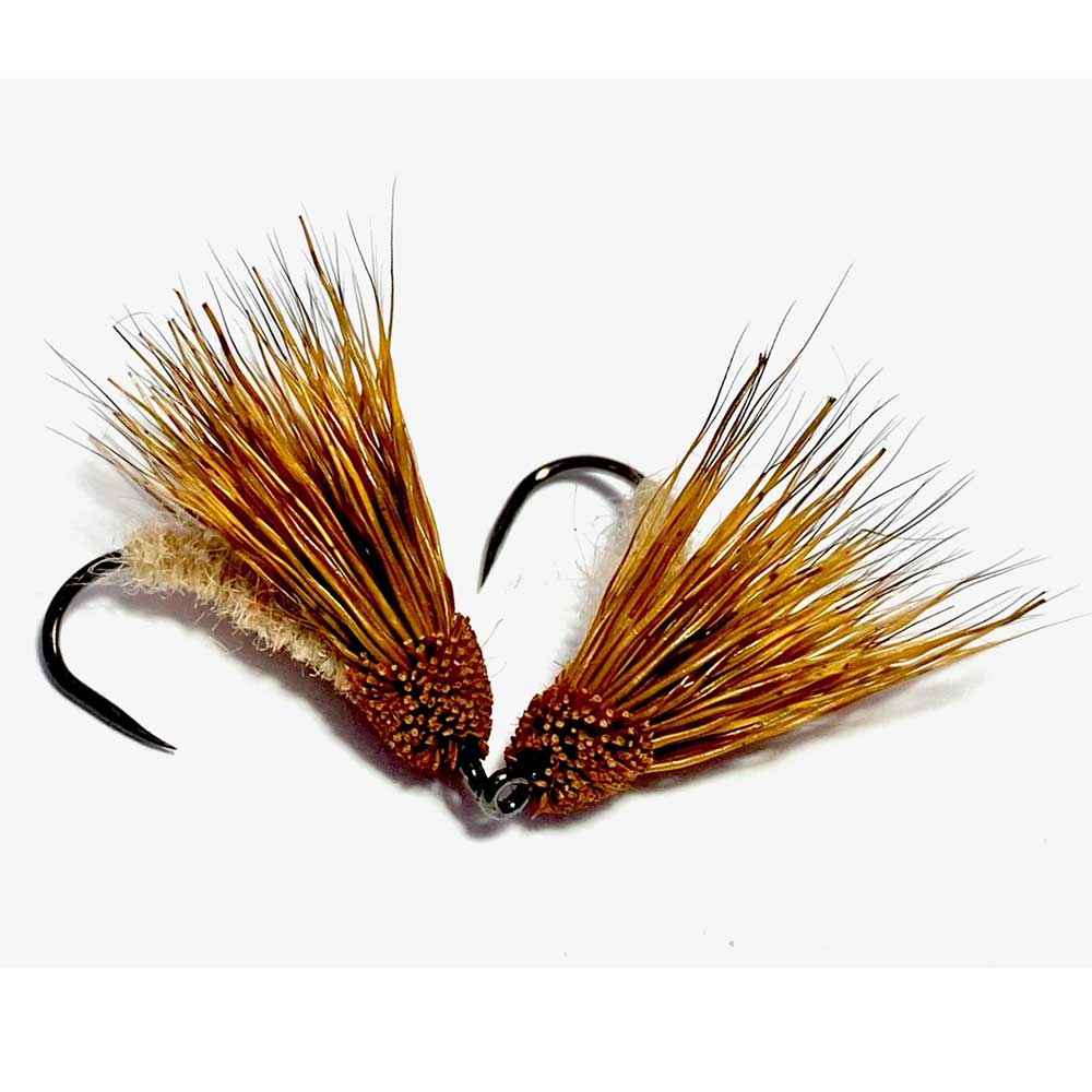 16PK Cinnamon Caddis