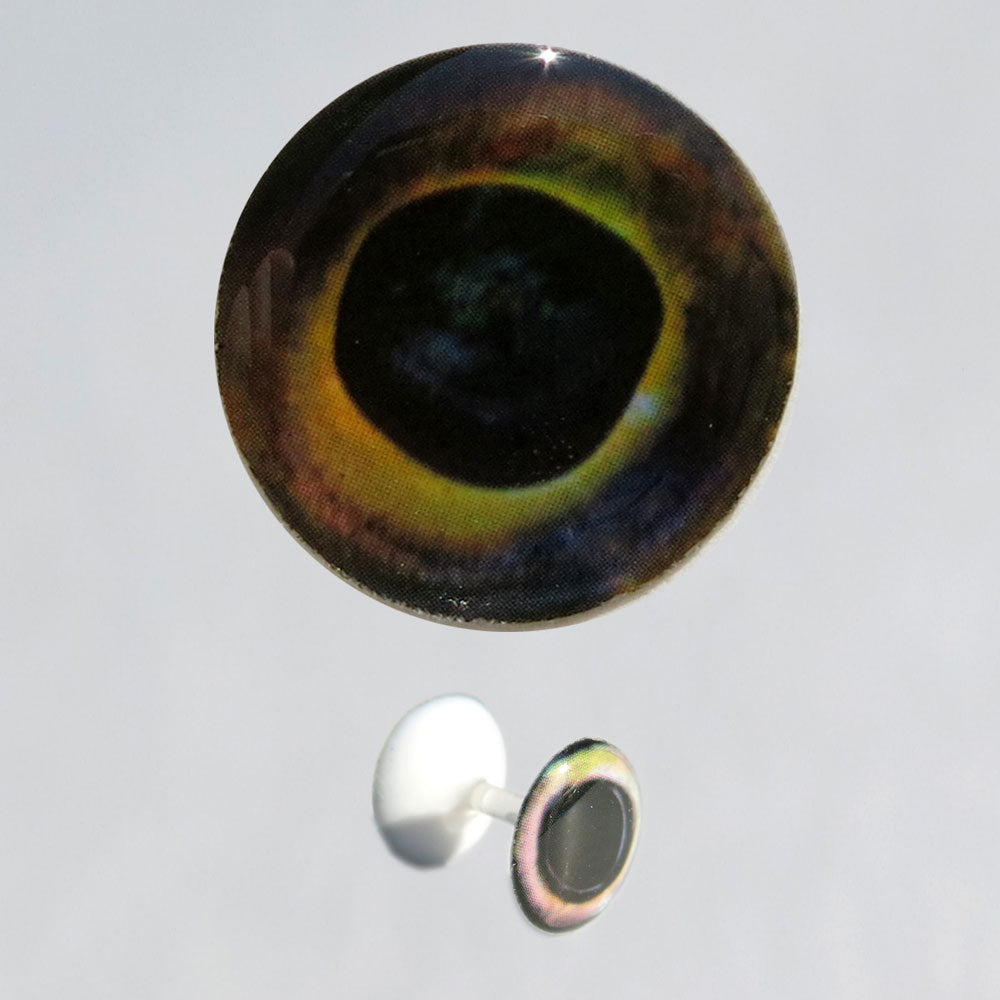 Y. Moon – Light Dumbbell