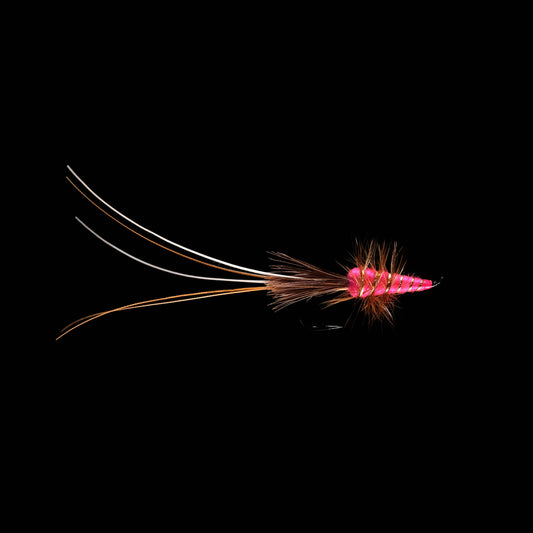 Frances - Fuchsia