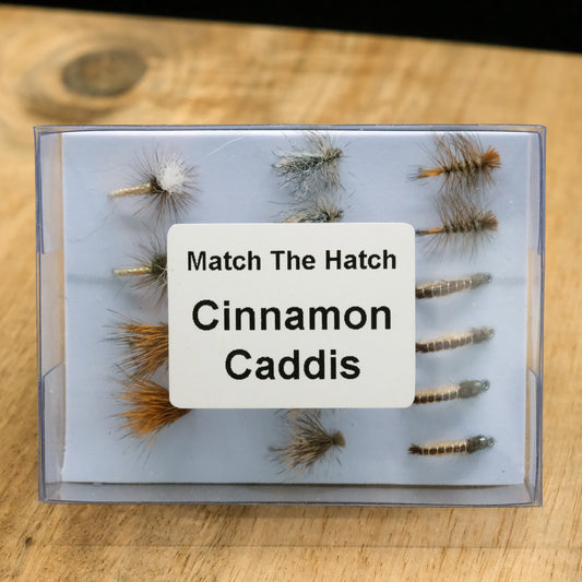 16PK Cinnamon Caddis