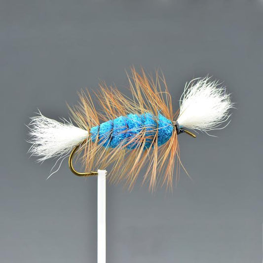 Cigar Bomber- Labatt Bleu Queue Blanche Hackle Brun