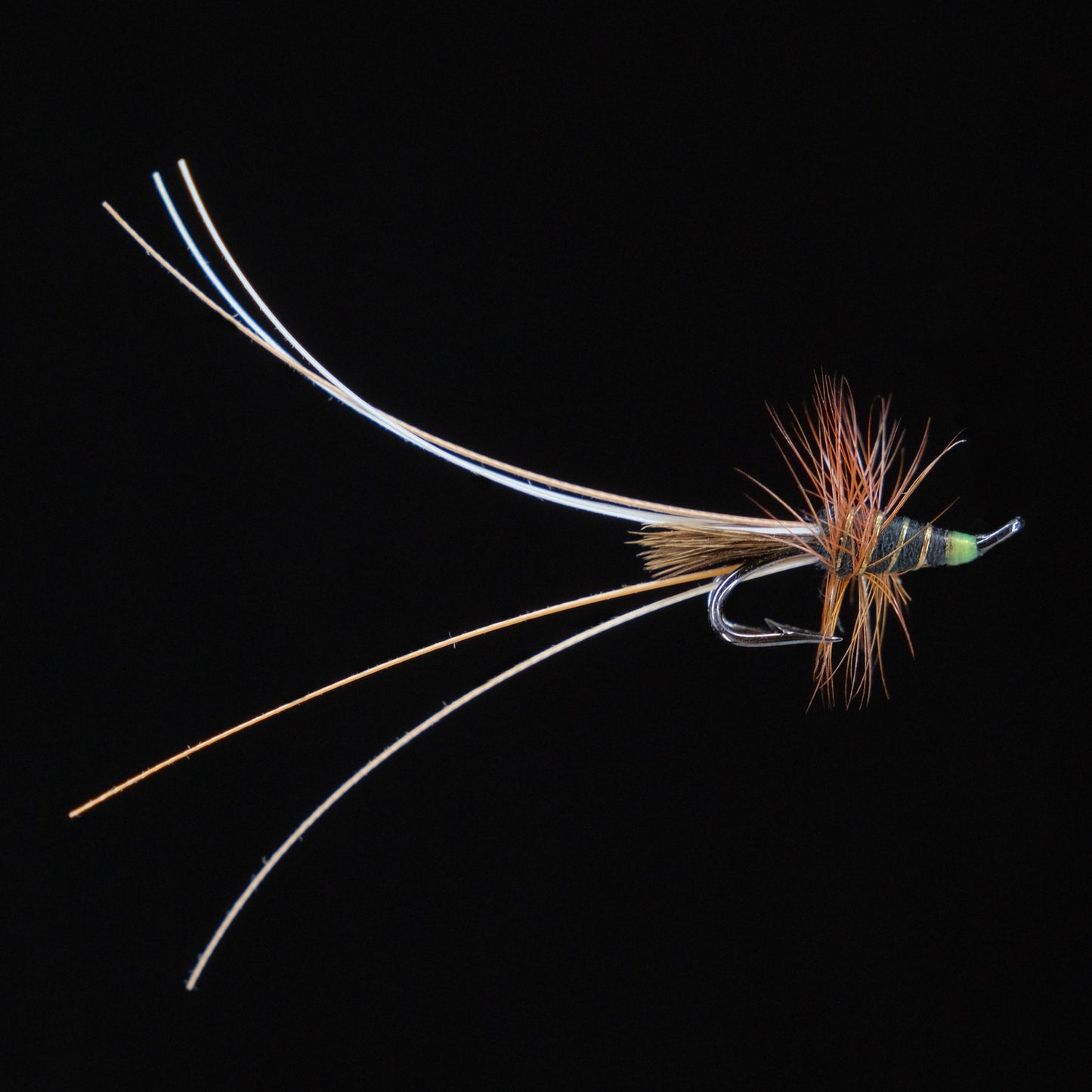 Frances - Black w. Fl. Green Head (Double)