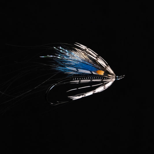 Picasse Blue