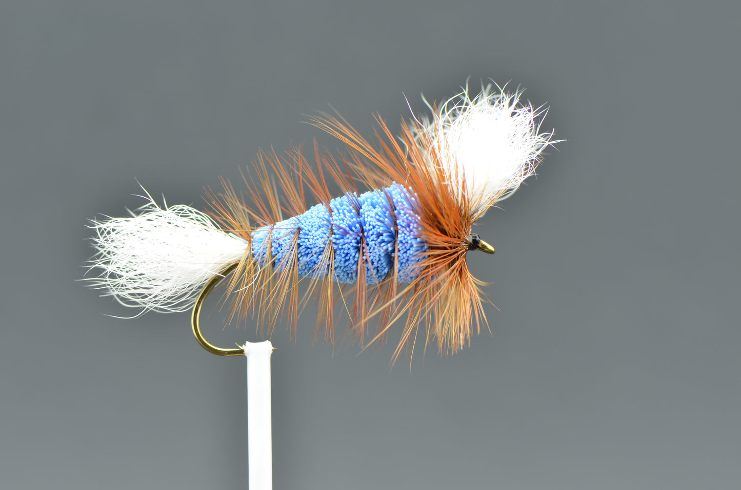 Wulff Electric Blue - White Tail - Brown Hackle