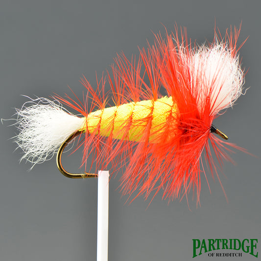 Wulff Lime – Queue Blanche – Hackle Orange