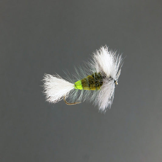 Olive Green Wulff - White Tail - Gray Hackle - Green Butt