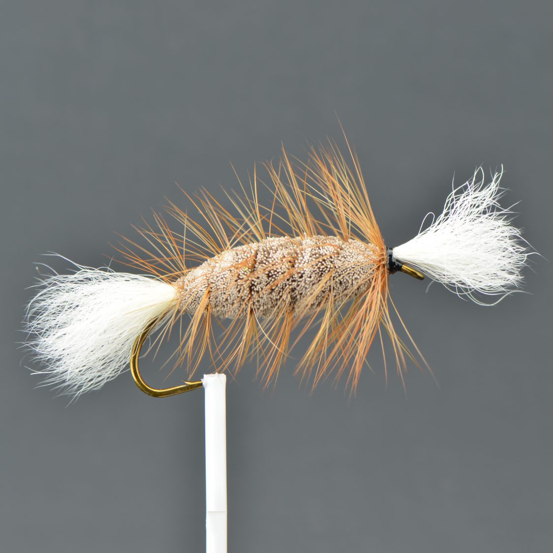 Gray Cigar – White Tail – Brown Hackle