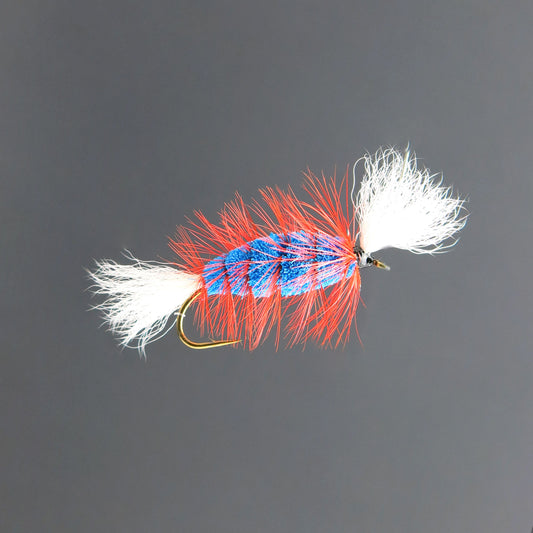 Blue Labatt Cigar - White Tail - Orange Hackle