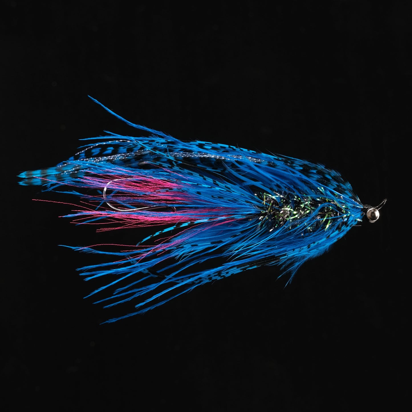 Intruder Blue and Fuchsia