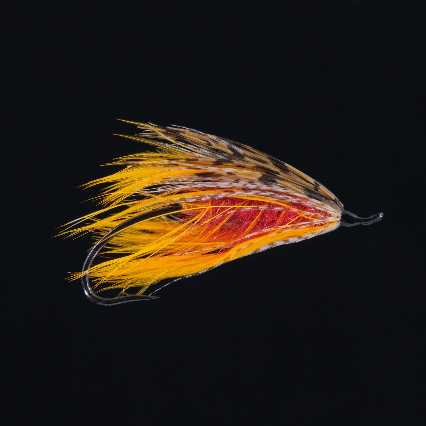 Claret &amp; Gold Spey