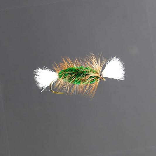 Cigar Vert – Queue Blanche – Hackle Brun