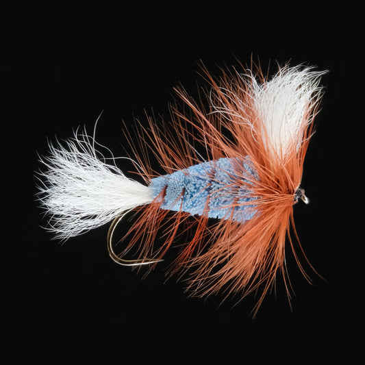 Wulff Bomber - Light Blue/ White Tail/ Brown Hackle