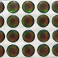 Apis – Self-adhesive Eyes