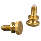 Brass Screws (2-Pack)
