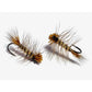 16PK Cinnamon Caddis