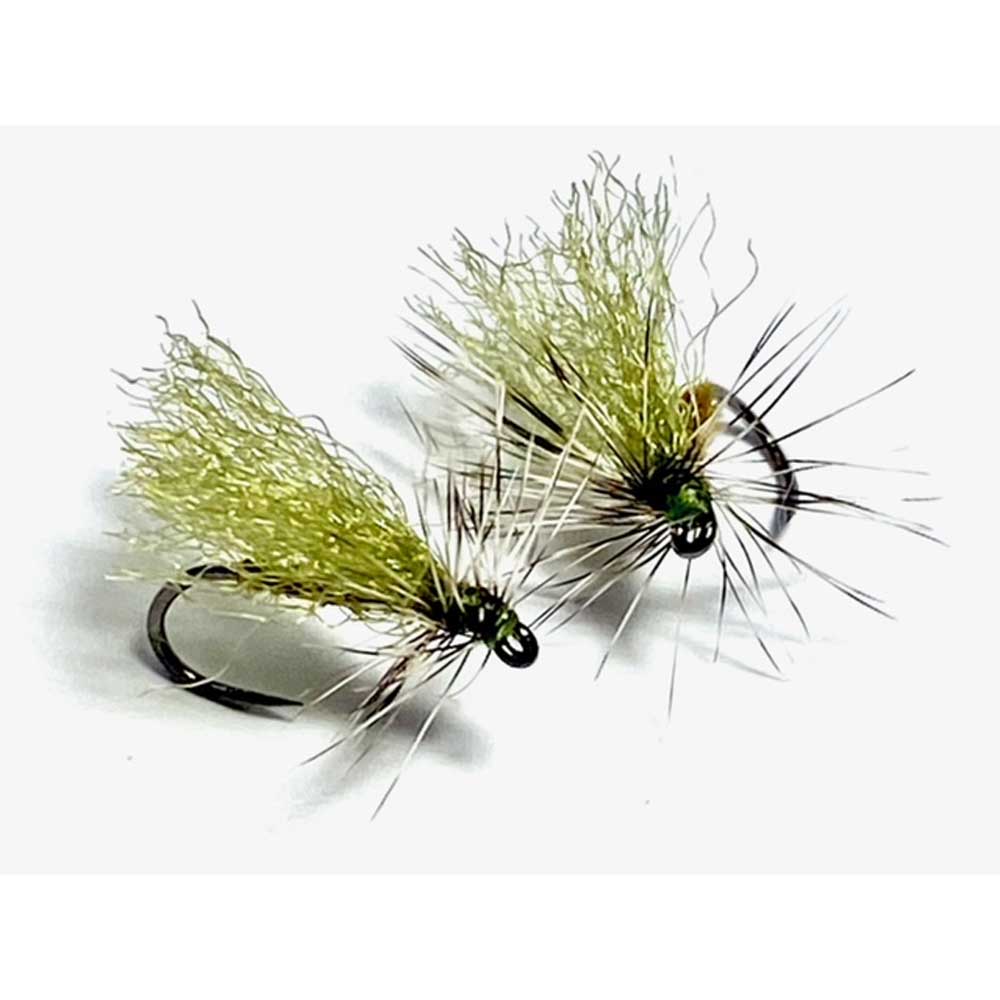 12PK Stoneflies Printanières