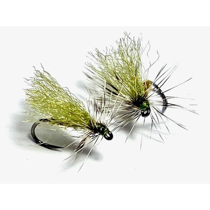 12PK Stoneflies Printanières