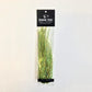 Saltwater Angel Hair - Gaula Green